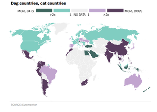Illustration for article titled World Map Reveals How Countries Are Divided Between Cat And Dog Lovers